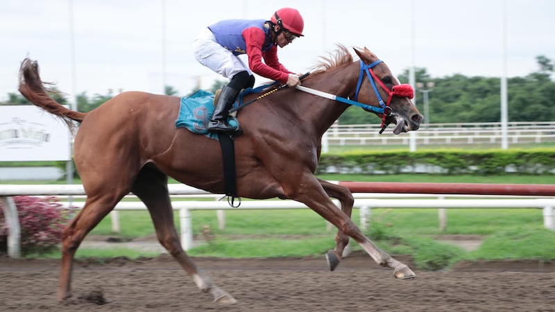 Jaque Doble busca revancha ante Wonder Lady