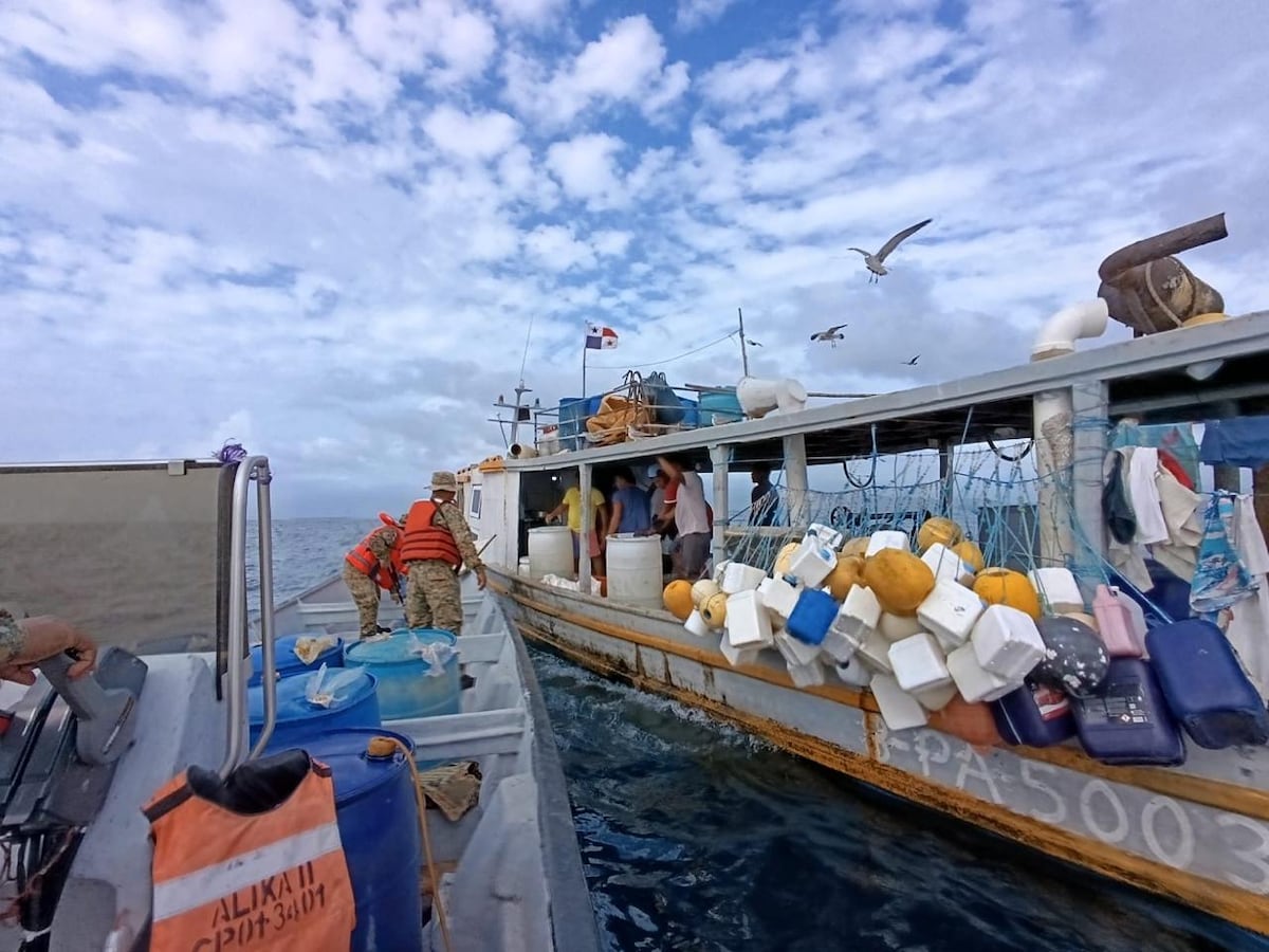 ¡Pesca ilegal al descubierto! Senafront decomisa más de 1,600 libras de productos del mar en Darién