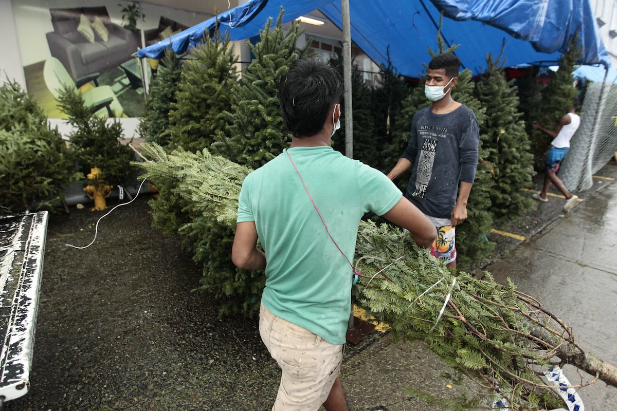 Llegó diciembre. Arbolitos navideños naturales y artificiales por las nubes