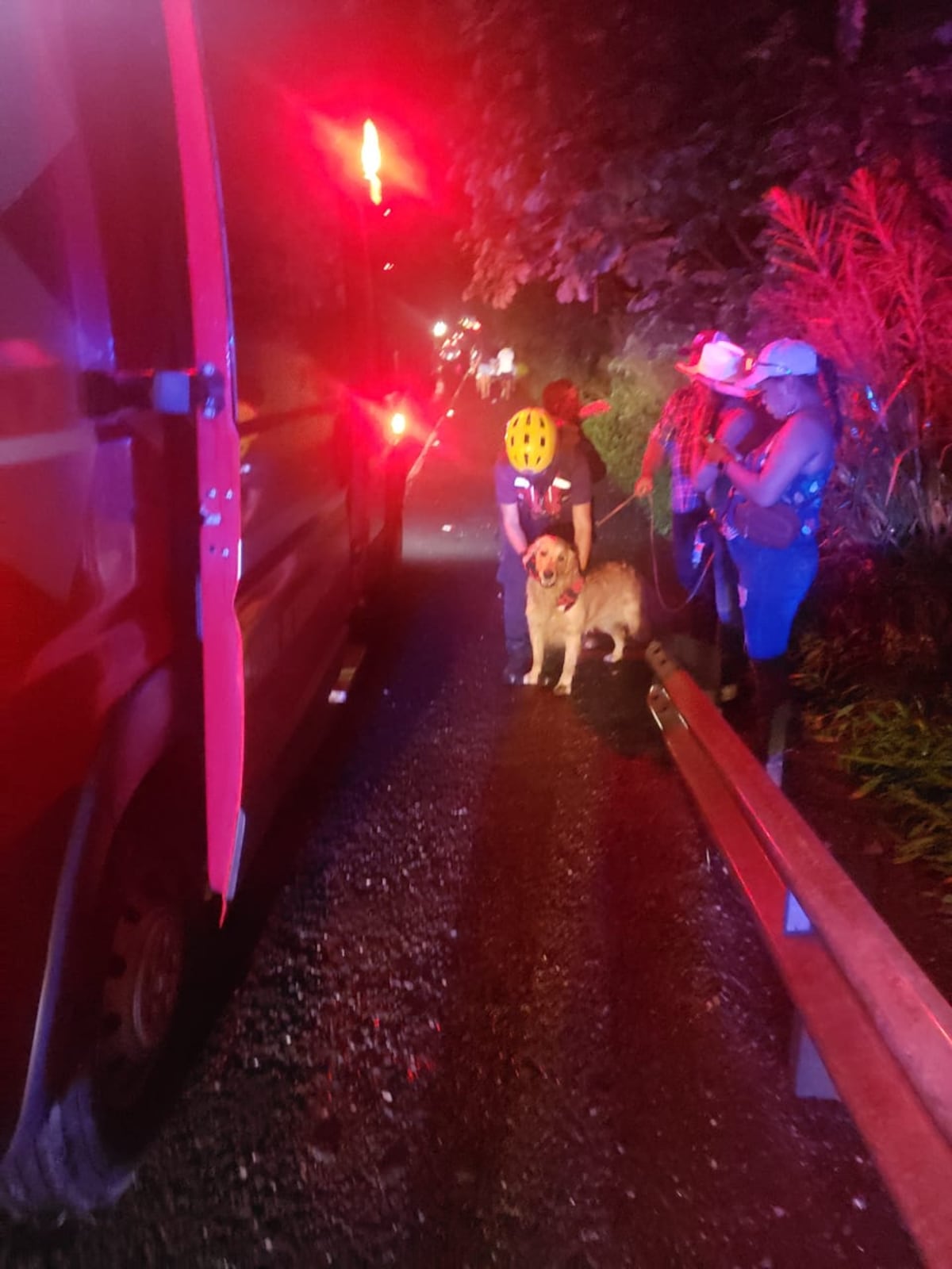 Auto choca contra baranda y cae al río a una altura de 10 metros. Rescatan a tres personas y un perro