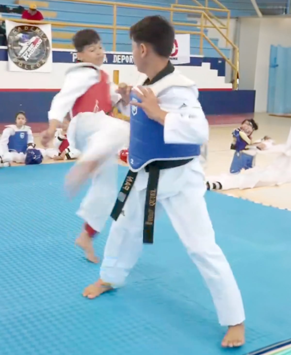 Pasión y disciplina: El futuro del taekwondo panameño se forja entre 40 jóvenes