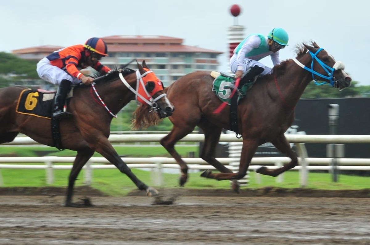 Emoción y tradición en el Hipódromo Presidente Remón con dos clásicos hípicos