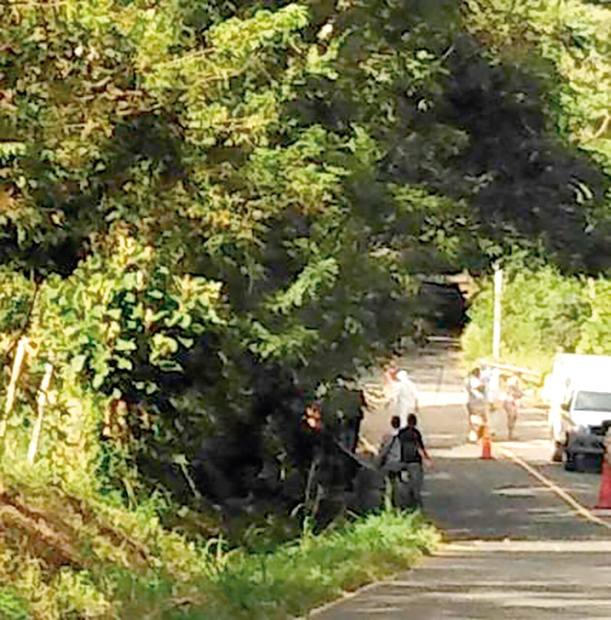 Fuerte olor alertó a transeúnte. Encuentran cadáver en La Chorrera