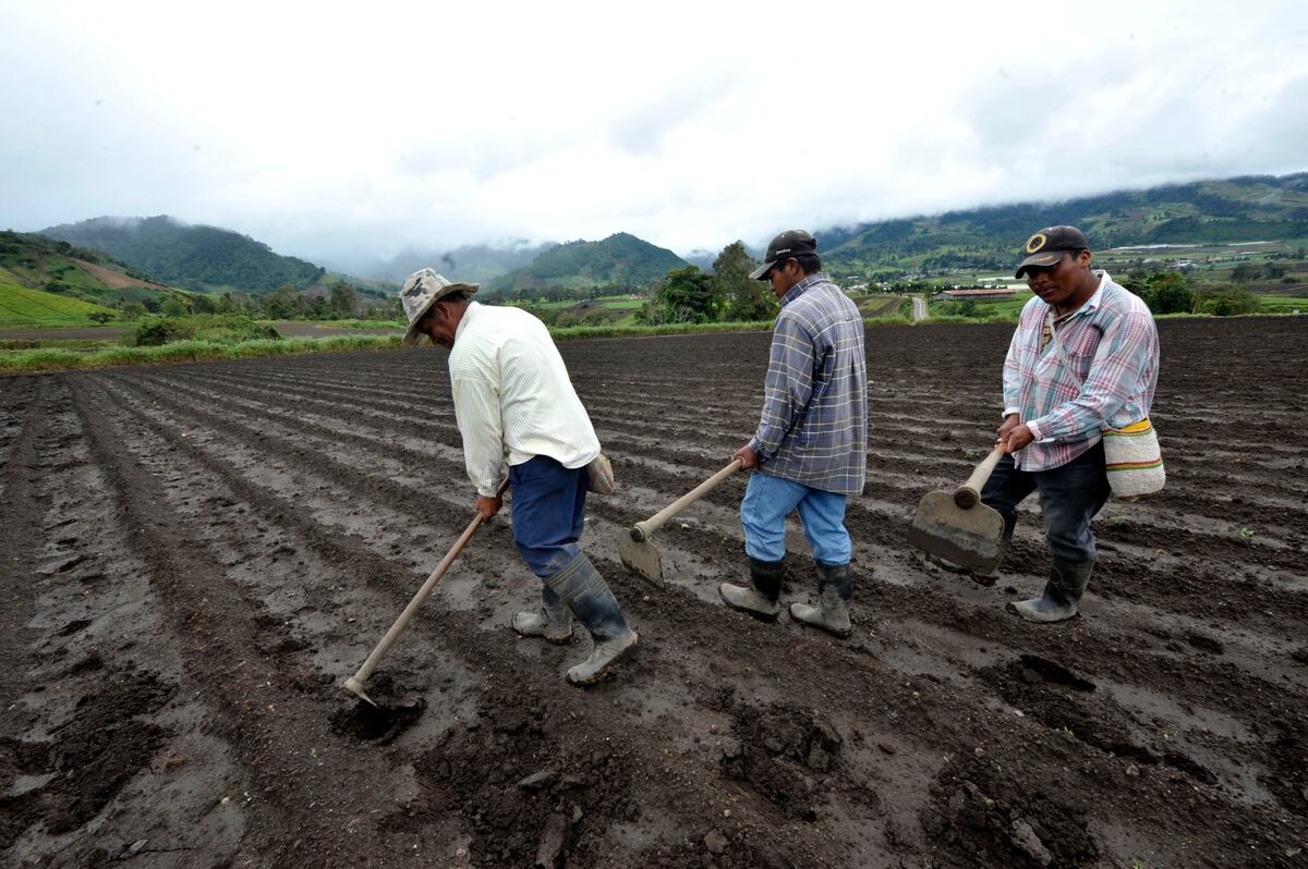 Se unen para activar el sector Agro en el país