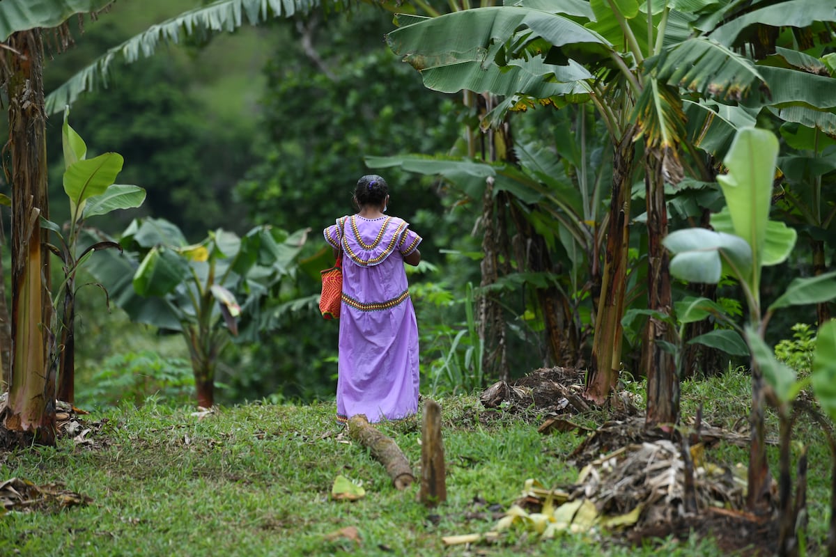 Mujeres en la comarca Ngäbe Buglé necesitan más apoyo