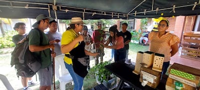 Festival de la Miel reúne a apicultores en El Valle y destaca a las abejas sin aguijón