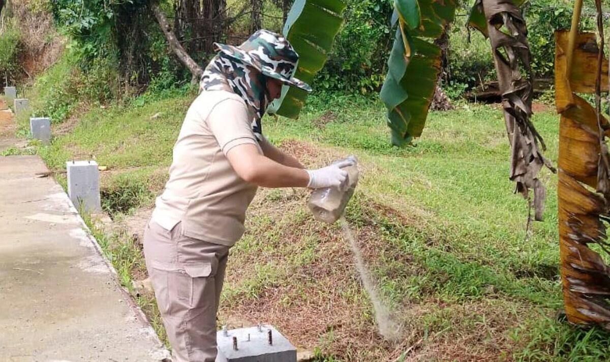 Tras la inundaciones el Minsa intensifica fumigaciones en Veraguas para frenar el dengue