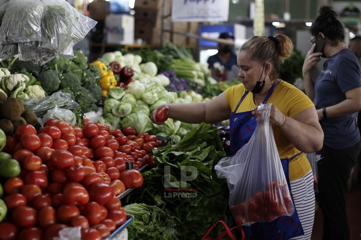 Productores nacionales en alerta por competencia desleal de importaciones