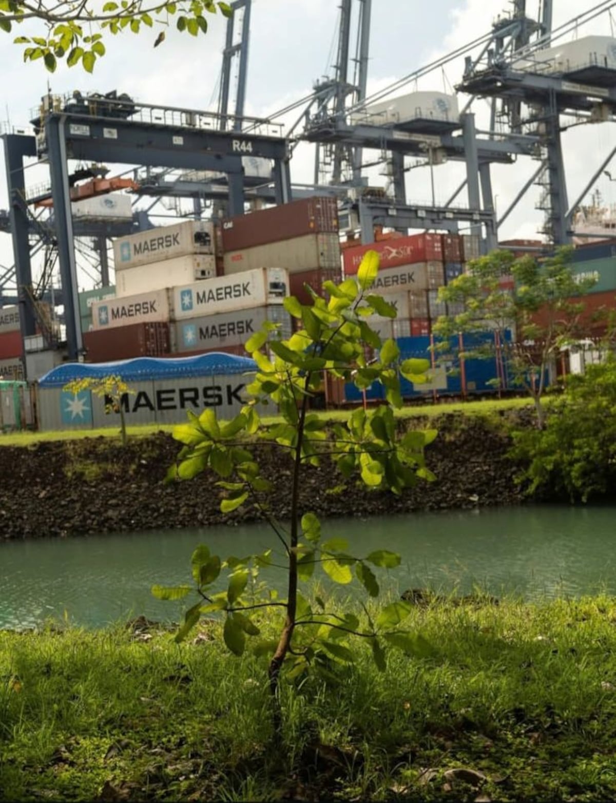 ‘El jardín de Mr. Brown’: el secreto del Canal que hoy se exhibe al público como memoria viva