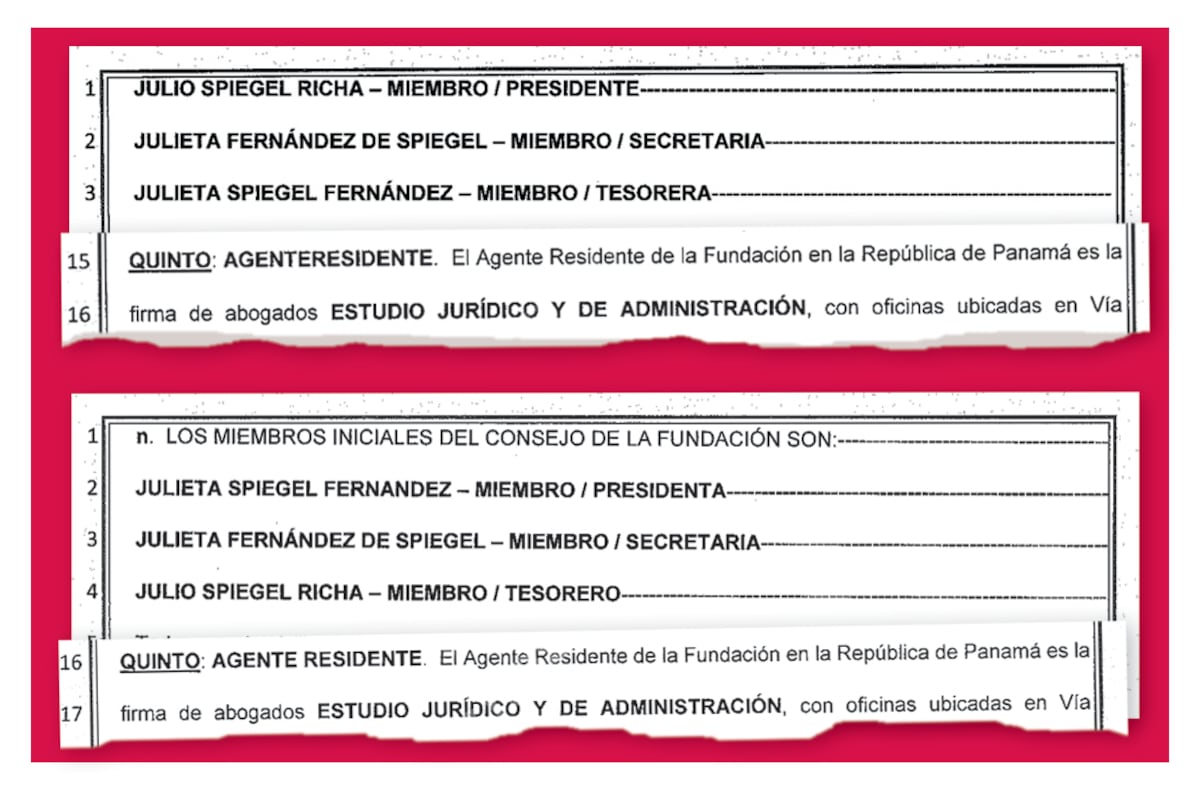 Investigación especial. El misterioso hombre de confianza del vicepresidente ‘Gaby’ Carrizo