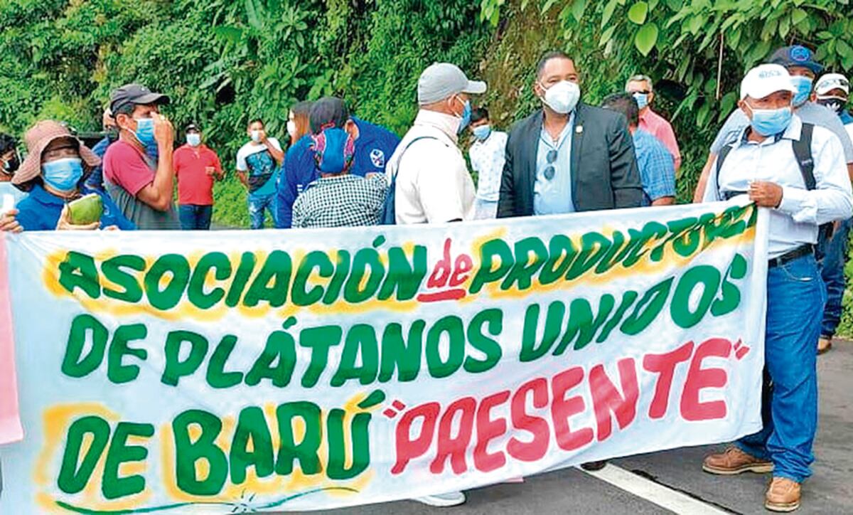 Plataneros en Barú exigen al Gobierno una mejor ayuda