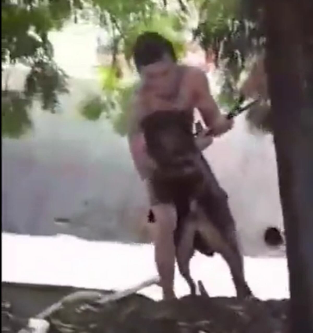 Boxeador arriesgó su vida para salvar a un perro de morir ahogado | Video