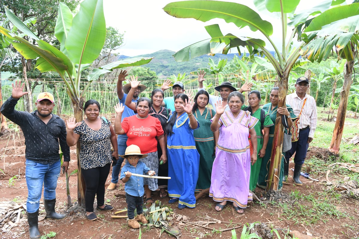 Empoderadas. Mujeres de la Comarca Ngäbe Buglé se unen para cultivar sus tierras