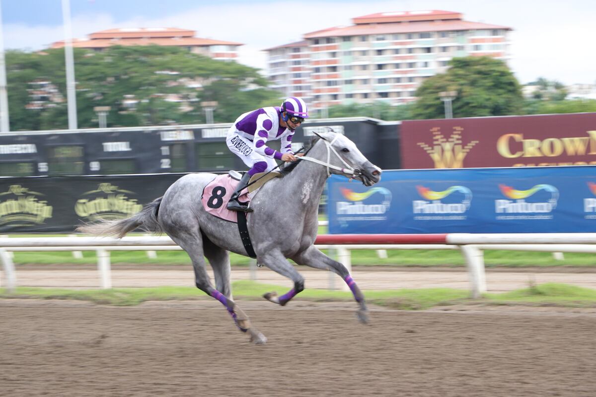 Silver Wood: La Reina del Hipódromo Presidente Remón